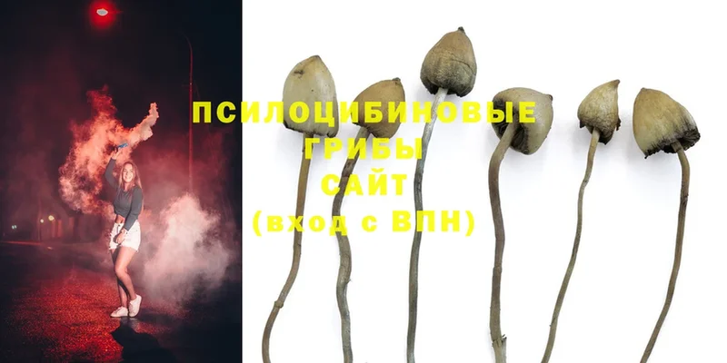 ссылка на мегу ссылка  darknet официальный сайт  Галлюциногенные грибы Psilocybine cubensis  купить закладку  Нахабино 